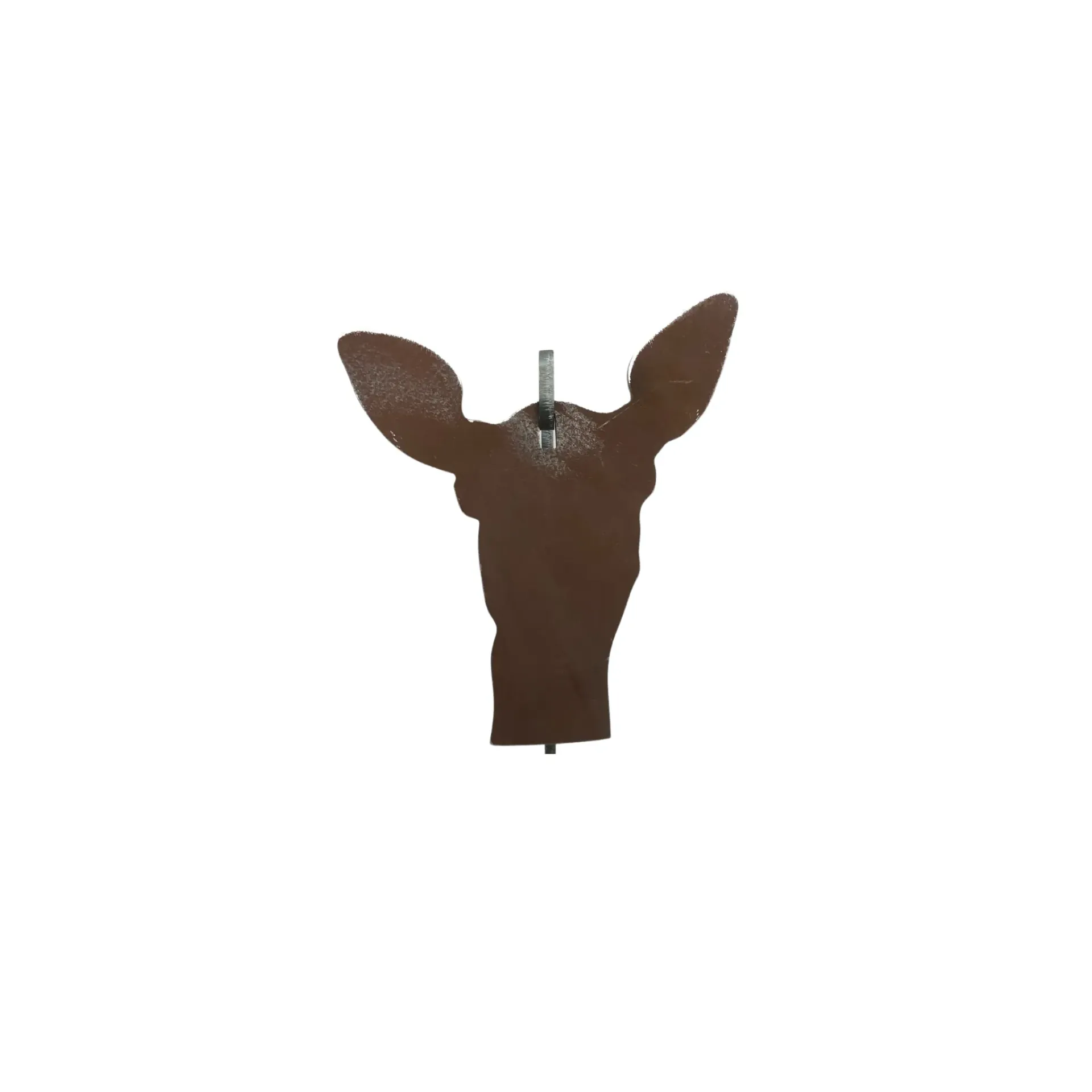 [SQ8845686] Doe Head
