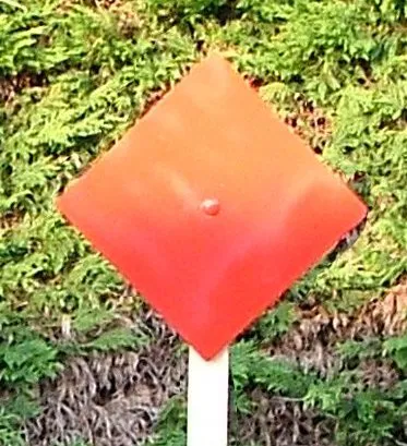 [IPAS10-red] IPAS 10" - Red Air Pistol Target