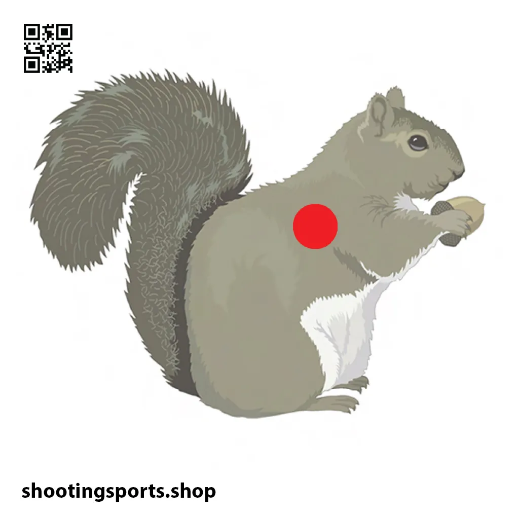 [SSSTGT0020C] Squirrel Target - Paper 17cm x 17cm Packs (1)
